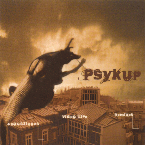 Psykup : Acoustiques, Remixes, Video